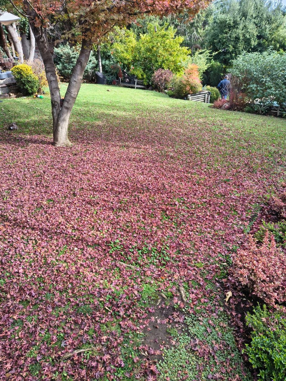 Jardín después del servicio de El Jardinero